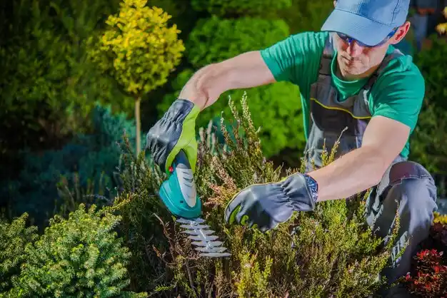 landscaping services Dulac